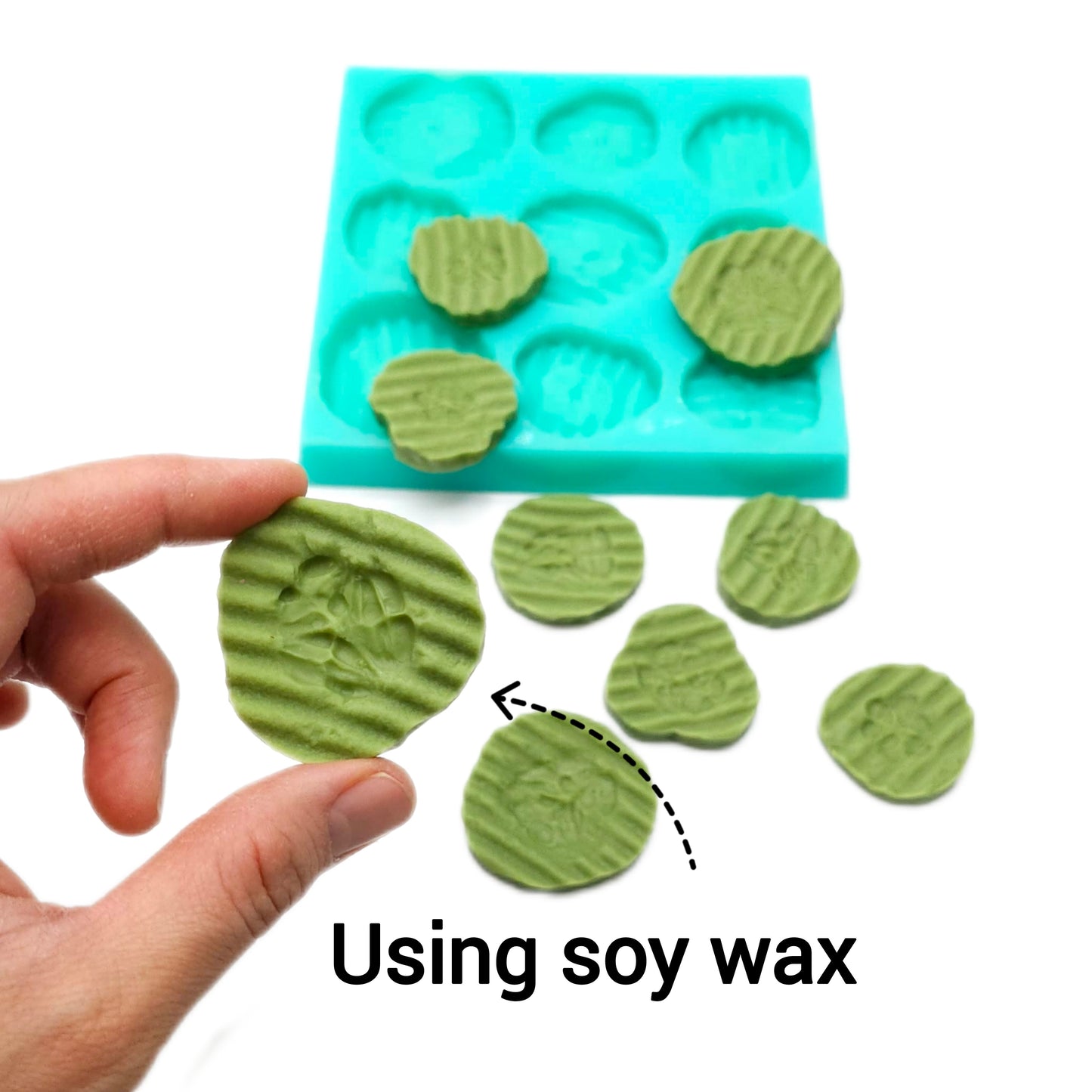 Pickle slices crinkle cut slices silicone mold pickle cucumber slices Silicone Mold Wax mold Resin mold Soap mold Realistic Flexible mold NT056