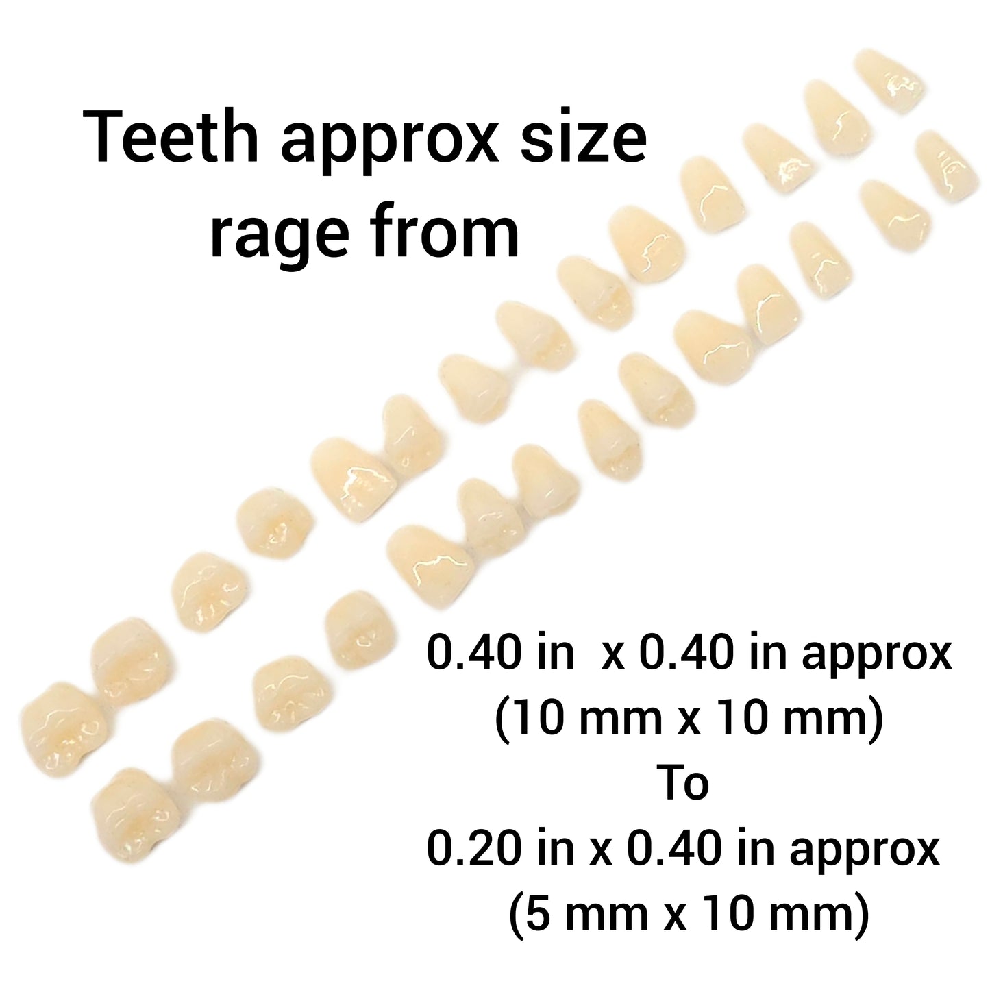 Multiple Cavity Tooth Silicone Mold - Create Realistic Imitation Human Teeth for Soap, Candles, Wax, and Resin NC041