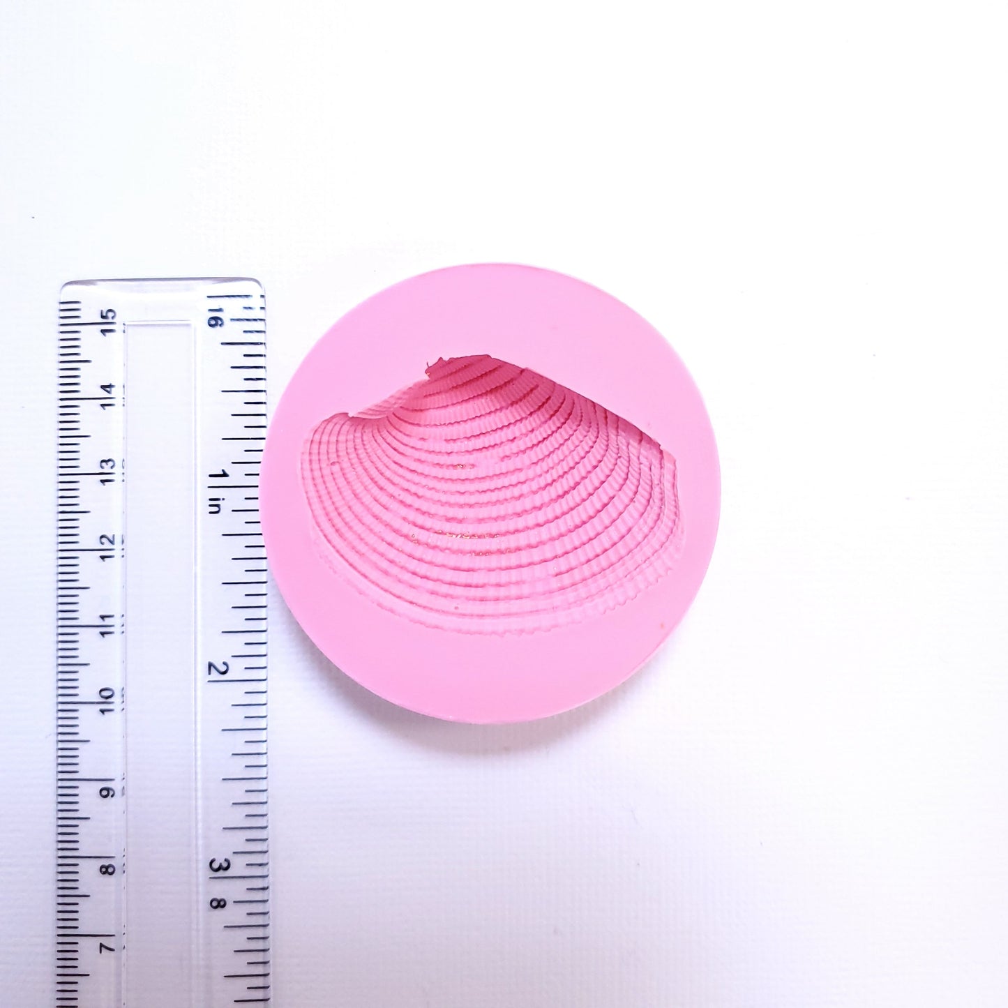 Realistic Seashell Silicone Mold for Resin, Fondant, Clay, Jewelry, Miniatures